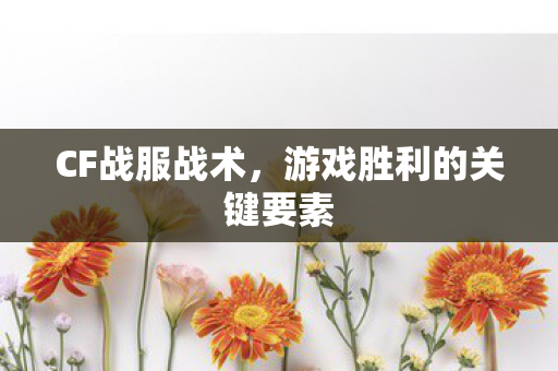 CF战服战术,游戏胜利的关键要素 CF战服战术,游戏胜利的关键要素
