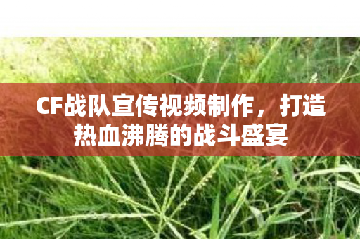 CF战队宣传视频制作,打造热血沸腾的战斗盛宴 CF战队宣传视频制作,打造热血沸腾的战斗盛宴