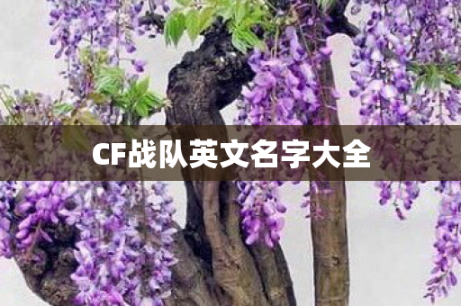 CF战队英文名字大全 CF战队英文名字大全