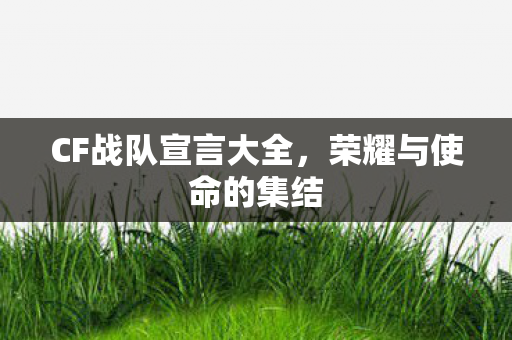 CF战队宣言大全,荣耀与使命的集结 CF战队宣言大全,荣耀与使命的集结