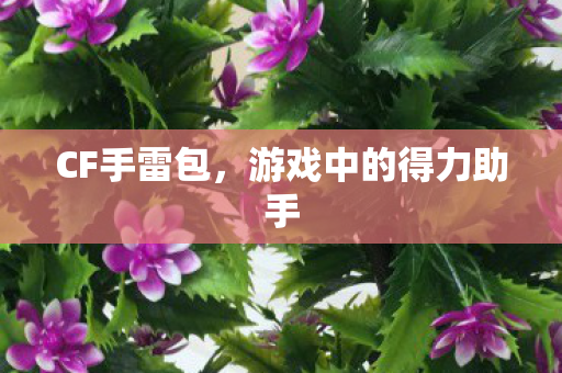 CF手雷包，游戏中的得力助手