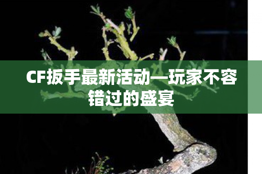 CF扳手最新活动—玩家不容错过的盛宴