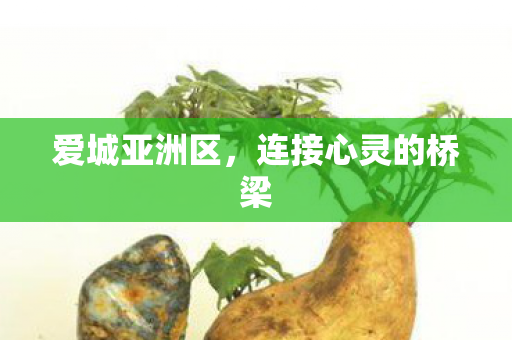 爱城亚洲区,连接心灵的桥梁 爱城亚洲区,连接心灵的桥梁