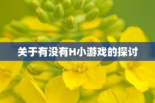关于有没有H小游戏的探讨 关于有没有H小游戏的探讨