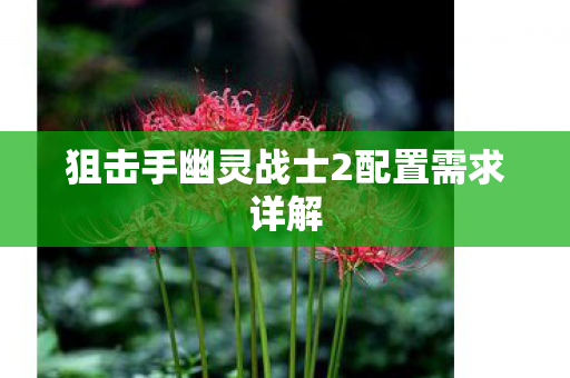 狙击手幽灵战士2配置需求详解 狙击手幽灵战士2配置需求详解