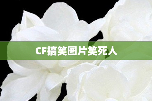 CF搞笑图片笑死人 CF搞笑图片笑死人