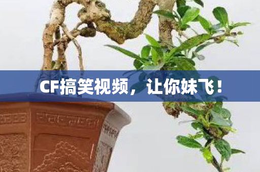CF搞笑视频,让你妹飞! CF搞笑视频,让你妹飞!