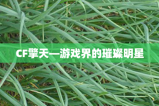 CF擎天—游戏界的璀璨明星 CF擎天—游戏界的璀璨明星