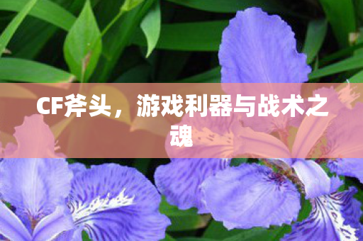 CF斧头,游戏利器与战术之魂 CF斧头,游戏利器与战术之魂