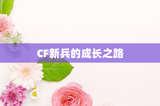 CF新兵的成长之路
