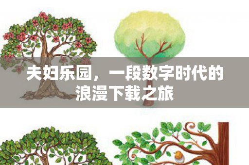 夫妇乐园,一段数字时代的浪漫下载之旅 夫妇乐园,一段数字时代的浪漫下载之旅
