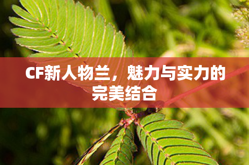 CF新人物兰，魅力与实力的完美结合