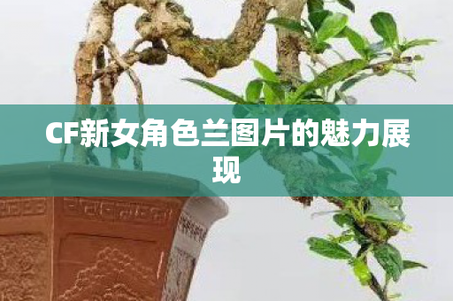 CF新女角色兰图片的魅力展现