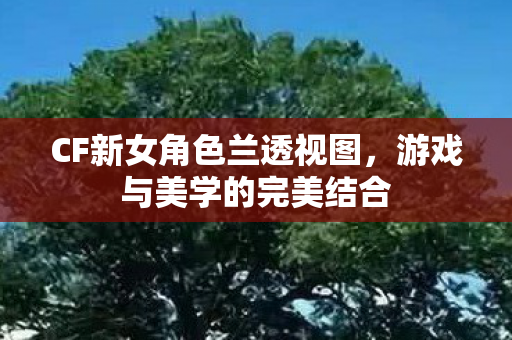 CF新女角色兰透视图，游戏与美学的完美结合