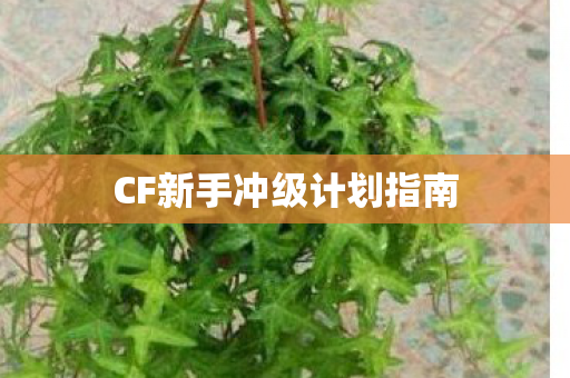 CF新手冲级计划指南 CF新手冲级计划指南