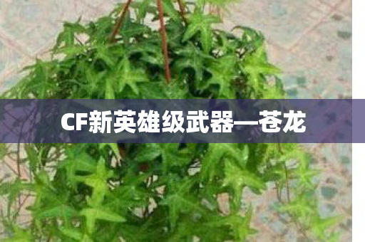CF新英雄级武器—苍龙 CF新英雄级武器—苍龙