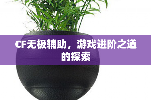 CF无极辅助,游戏进阶之道的探索 CF无极辅助,游戏进阶之道的探索