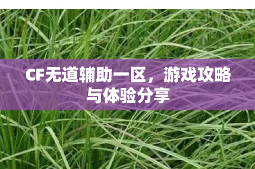 CF无道辅助一区,游戏攻略与体验分享 CF无道辅助一区,游戏攻略与体验分享