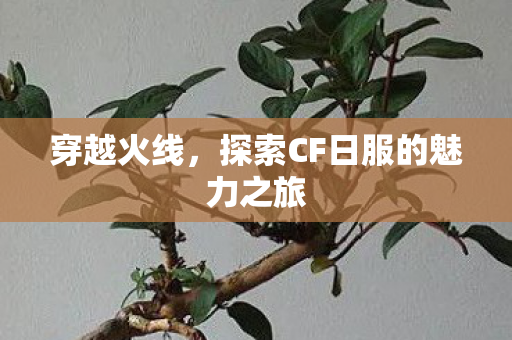 穿越火线,探索CF日服的魅力之旅 穿越火线,探索CF日服的魅力之旅