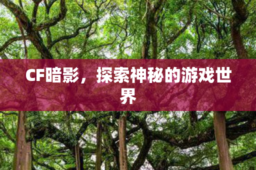 CF暗影,探索神秘的游戏世界 CF暗影,探索神秘的游戏世界