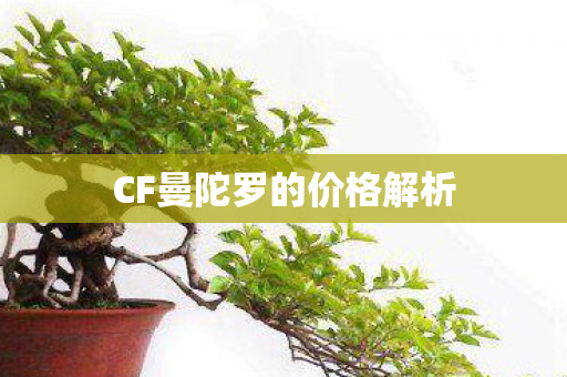 CF曼陀罗的价格解析 CF曼陀罗的价格解析