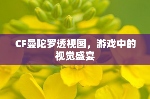 CF曼陀罗透视图,游戏中的视觉盛宴 CF曼陀罗透视图,游戏中的视觉盛宴