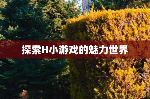 探索H小游戏的魅力世界 探索H小游戏的魅力世界