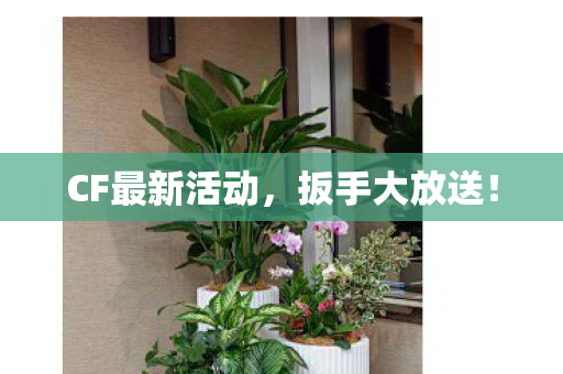 CF最新活动,扳手大放送! CF最新活动,扳手大放送!