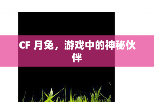CF 月兔,游戏中的神秘伙伴 CF 月兔,游戏中的神秘伙伴