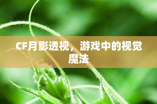 CF月影透视，游戏中的视觉魔法