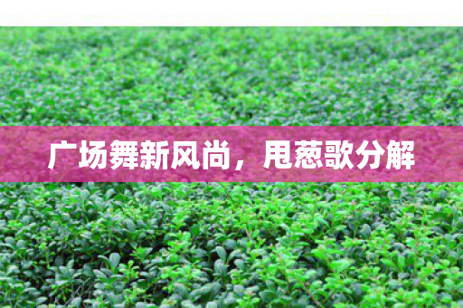 广场舞新风尚,甩葱歌分解 广场舞新风尚,甩葱歌分解