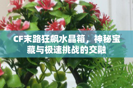 CF末路狂飙水晶箱，神秘宝藏与极速挑战的交融