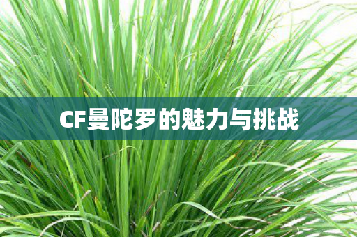 CF曼陀罗的魅力与挑战 CF曼陀罗的魅力与挑战