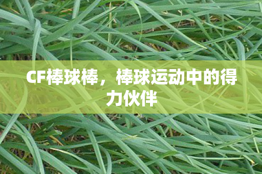 CF棒球棒,棒球运动中的得力伙伴 CF棒球棒,棒球运动中的得力伙伴