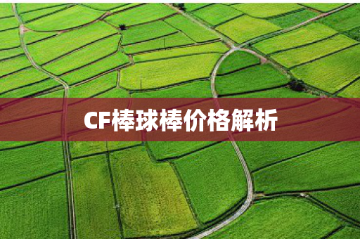 CF棒球棒价格解析 CF棒球棒价格解析