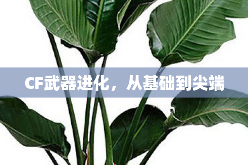 CF武器进化,从基础到尖端 CF武器进化,从基础到尖端