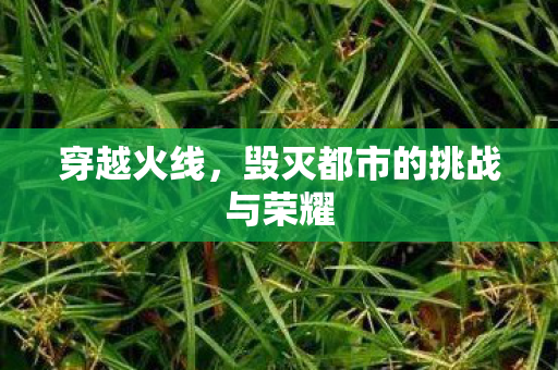 穿越火线,毁灭都市的挑战与荣耀 穿越火线,毁灭都市的挑战与荣耀