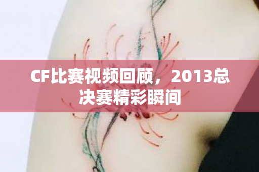 CF比赛视频回顾,2013总决赛精彩瞬间 CF比赛视频回顾,2013总决赛精彩瞬间