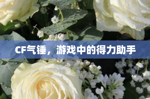 CF气锤,游戏中的得力助手 CF气锤,游戏中的得力助手