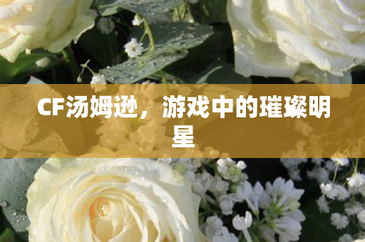 CF汤姆逊,游戏中的璀璨明星 CF汤姆逊,游戏中的璀璨明星