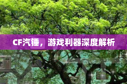 CF汽锤，游戏利器深度解析