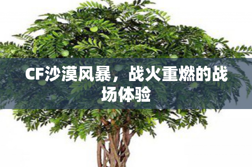 CF沙漠风暴,战火重燃的战场体验 CF沙漠风暴,战火重燃的战场体验