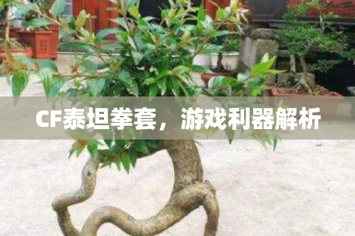 CF泰坦拳套，游戏利器解析