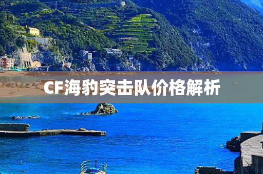CF海豹突击队价格解析 CF海豹突击队价格解析