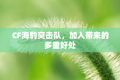 CF海豹突击队,加入带来的多重好处 CF海豹突击队,加入带来的多重好处