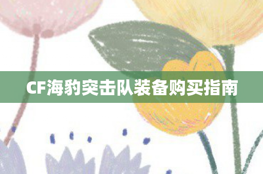CF海豹突击队装备购买指南 CF海豹突击队装备购买指南