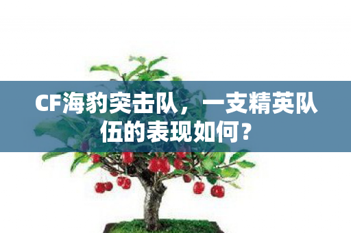 CF海豹突击队,一支精英队伍的表现如何? CF海豹突击队,一支精英队伍的表现如何?