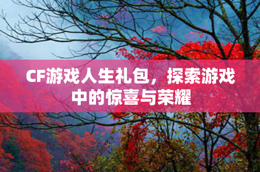CF游戏人生礼包,探索游戏中的惊喜与荣耀 CF游戏人生礼包,探索游戏中的惊喜与荣耀