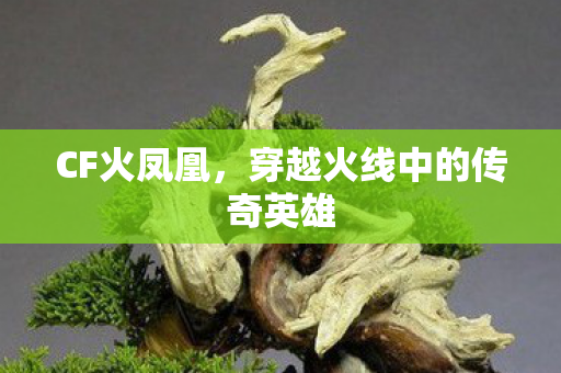 CF火凤凰,穿越火线中的传奇英雄 CF火凤凰,穿越火线中的传奇英雄
