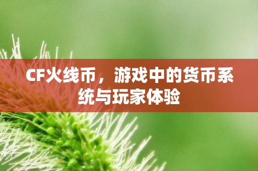 CF火线币,游戏中的货币系统与玩家体验 CF火线币,游戏中的货币系统与玩家体验